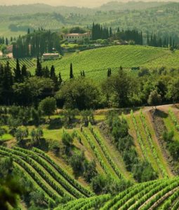 Sanfte Hügel: Das Markenzeichen der Toskana und des Weinguts Gagliole