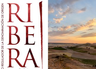 Ribera del Duero: vor Ort zum 40. Geburtstag!