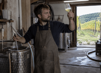 Naturwein-Winzer prüft einen jungen Weißwein im Keller