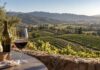 Weinberge im Napa Valley mit Bezug zu Klima und Weinstil