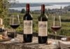 Zwei Rotweine aus dem Médoc und Saint-Émilion mit gefüllten Weingläsern vor einer Bordeaux-Landschaft.